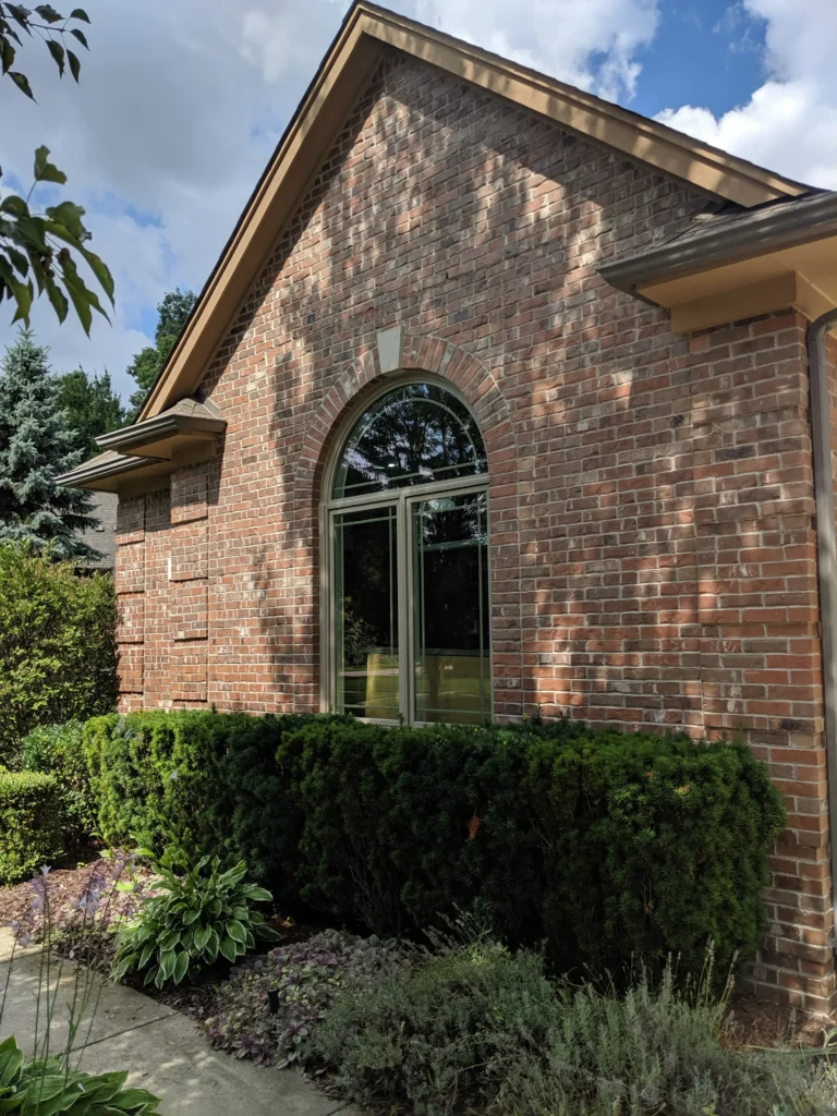 New windows